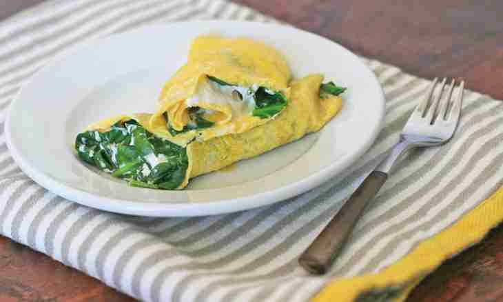 How to prepare a plain and useful omelet for those who lose weight